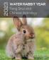 2023 WATER RABBIT YEAR