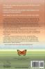 The Hidden Order: Tap into the Wisdom: 2 (The Mastery Club)
