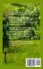 A Bride for Braxton: 1 (Oakdale Romance Duet)