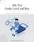 SSL/TLS Under Lock and Key