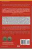 Augustus to Constantine: The Rise and Triumph of Christianity in the Roman World