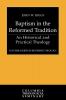 Baptism in the Reformed Tradition: An Historical and Practical Theology (Columbia Series in Reformed Theology)