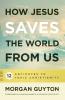How Jesus Saves the World from Us: 12 Antidotes to Toxic Christianity