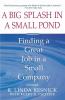 A Big Splash in a Small Pond: Finding a Great Job in a Small Company