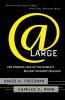 At Large: The Strange Case of the World's Biggest Internet Invasion