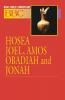 Basic Bible Commentary Hosea Joel Amos Obadiah and Jonah