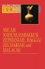 Basic Bible Commentary Volume 16 Micah Nahum Habakkuk Zephaniah Haggai Zechariah and Malachi