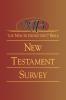 New Interpreter's Bible New Testament Survey