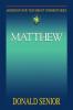 Abingdon New Testament Commentary - Matthew