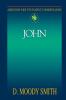 Abingdon New Testament Commentary - John