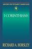 Abingdon New Testament Commentary - 1 Corinthians