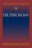 Abingdon Old Testament Commentary - Deuteronomy