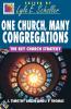 One Church Many Congregations: The Key Church Strategy (Ministry for the Third Millennium S.)