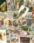 ARBUCKLES' ARIOSA COFFEE Victorian Trade Cards