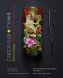 Canton Flair: Recipes Design Traditions & Culture Made in China