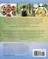 The Mindbody Cleanse