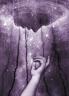 The Psychedelic Anthology: Volume II: 2