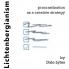 Lichtenbergianism: procrastination as a creative strategy