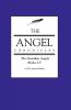 The Angel Chronicles