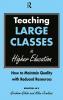 Teaching Large Classes in Higher Education