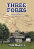 Three Forks - A Novel of Texas
