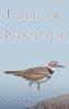 Follow a Phantom