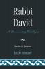 Rabbi David
