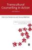 Transcultural Counselling in Action (Second Edition)