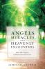 Angels Miracles and Heavenly Encounters
