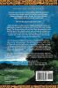 The Skystone: The Dream of Eagles Vol. 1 (Camulod Chronicles 1)