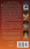The Red Threads of Fortune (The Tensorate Series 2)