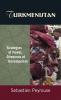 Turkmenistan: Strategies of Power Dilemmas of Development