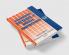 Changing Patterns of Social Protection