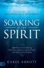 Soaking in the Spirit