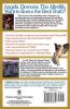 1001 Things You Always Wanted to Know about Angels Demons and the Afterlife