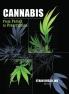 Cannabis