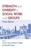 Strength and Diversity in Social Work with Groups