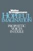 Hopeful Imagination