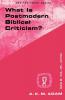 What Is Postmodern Biblical Criticism?