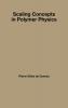 Scaling Concepts in Polymer Physics