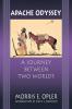 Apache Odyssey: A Journey between Two Worlds