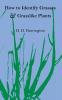 How to Identify Grasses and Grasslike Plants
