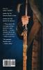 Soldier's Secret: The Story of Deborah Sampson