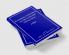 Handbook of Divorce and Relationship Dissolution