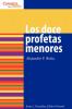 Los doce profetas menores: The Twelve Minor Prophets (Conozca su Biblia)