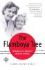 The Flamboya Tree