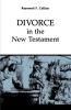 Divorce in the New Testament: 38 (Good News Studies)