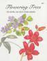 Flowering Trees for Central and South Florida Gardens