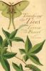 Teaching the Trees: Lessons from the Forest