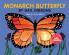 Monarch Butterfly (New & Updated)